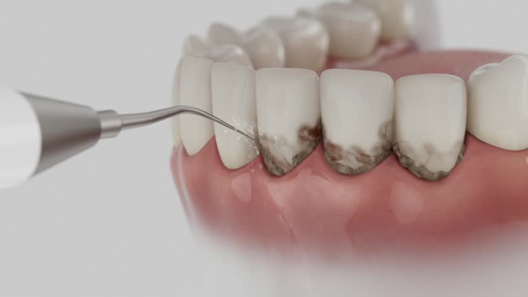 Trusted Emergency Dentist service in Columbia, SC - Dentist Open Now